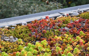 the cost of Childrey green roof installation