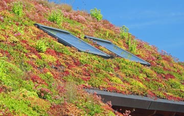 Childrey living roof systems