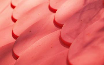 Childrey plastic roof costs